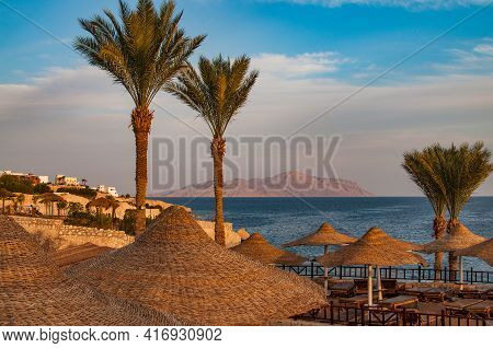 Hotel In Sharm El Sheikh In Sharks Bay