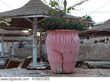 Hotel In Sharm El Sheikh In Sharks Bay