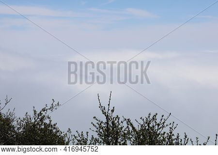 Mountain Ridge With Chaparral Plants Overlooking Stratus Clouds Over The Los Angeles Area Known Loca