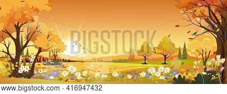Autumn Landscapes Of Countryside In Evening Sunset With Orange Sky,panoramic Of Mid Autumn In Farm F