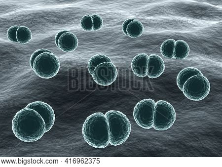 Microscopic View Of Bacteria Streptococcus Pneumoniae Causative Agent Of Pneumonia. 3d Illustration