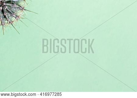 Background From Parts Of A Cactus On A Green Background. Plant Texture With Thorns.