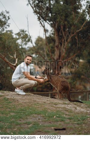 Man In The Reserve Is Playing With A Kangaroo