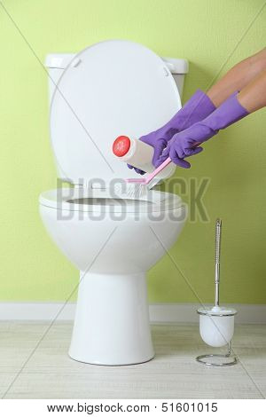 Woman hand with spray bottle cleaning a toilet bowl in a bathroom