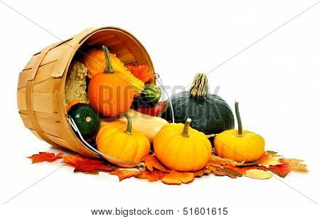 Harvest time