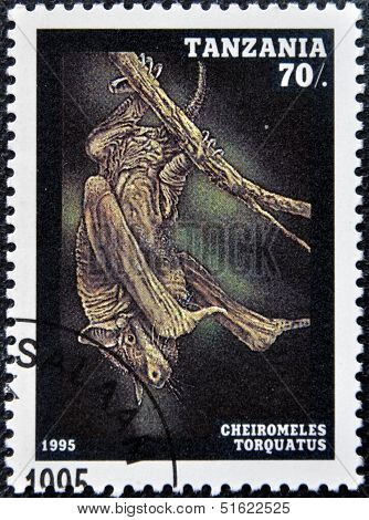 A stamp printed in Tanzania shows bat Plecotus auritus
