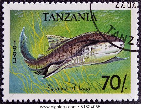A stamp printed in Tanzania shows African angelshark Squatina africana