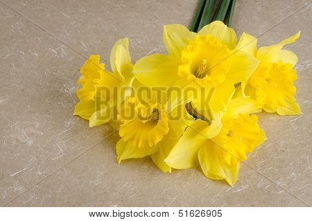 Jonquil Flowers