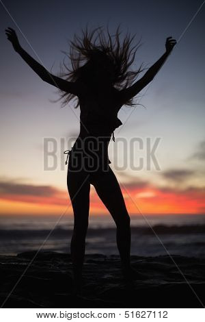 Silhouette of gorgeous woman enjoying on sea background at dusk