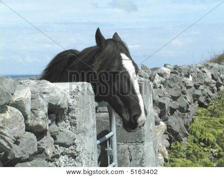 Inishmor