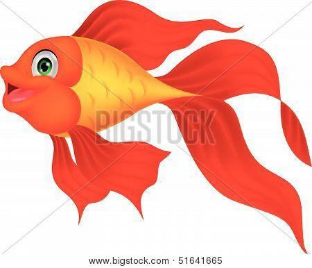 Cute golden fish cartoon