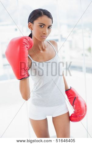 Serious competitive model with boxing gloves threatening camera in bright room at home
