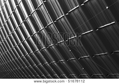 Grey Plate