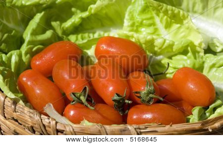 Taze domates ve salata #1