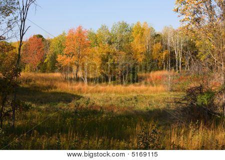 Paesaggio autunnale