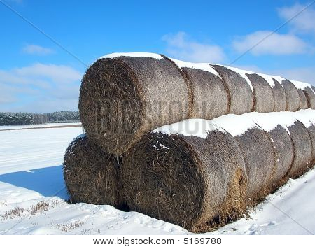 Зима