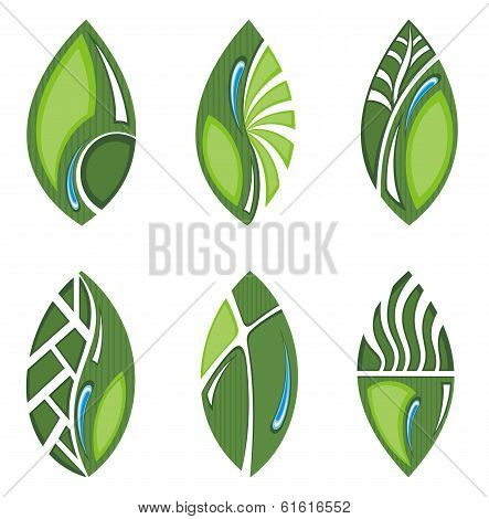 Green leaves