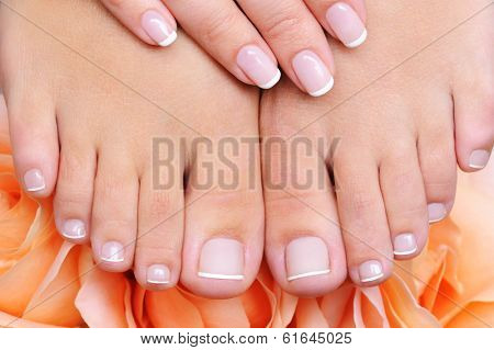 high angle front view of a female clean, pure  feet with french pedicure