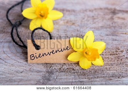 Bienvenue Tag