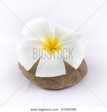 Isolated Of The Balance Stones With Frangipani Flower Is Zen For Spa On White Background