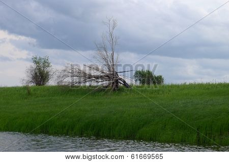 Creek On The Old Riverbed Tavda