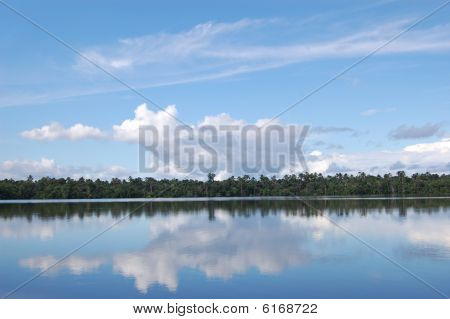 Iquitos Quistococha Lake Reflections