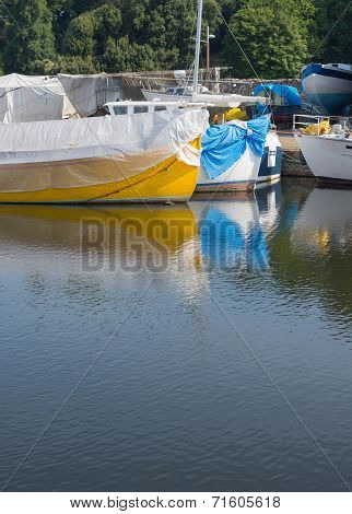 Yellow And Blue
