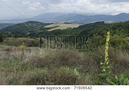 Look to Vitosha and Stara mountain from Lulin mountain