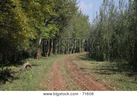 Strada di campagna