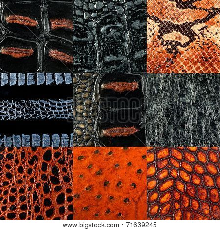 leather texture closeup for background and design works collage
