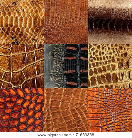 leather texture closeup for background and design works collage