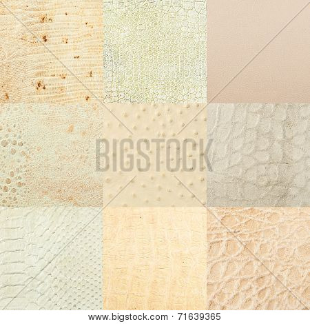 leather texture closeup for background and design works collage
