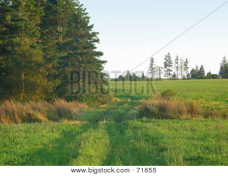 Bauernhof Path1