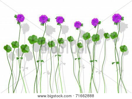 Four-Leaf Clover