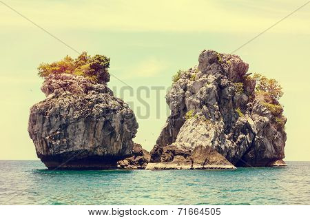Vintage Small Island