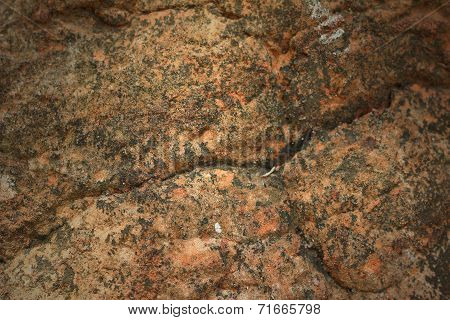 Background Pattern