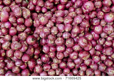 A Lot Of Thai Shallot Separated For Background
