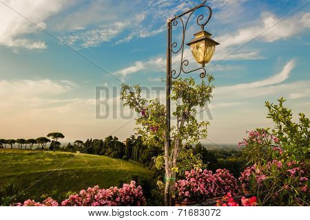 Lamp On Green View