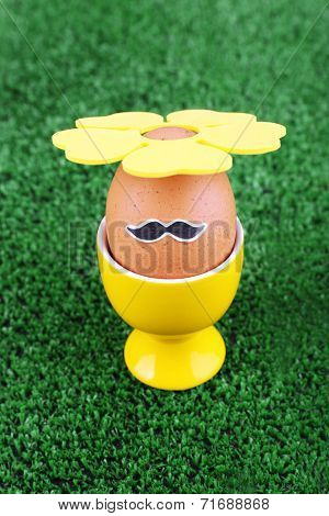 Edd in egg cup on green background