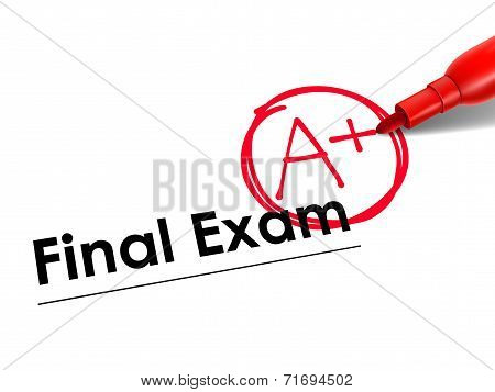 Close Up Look At A Plus On Exam Paper
