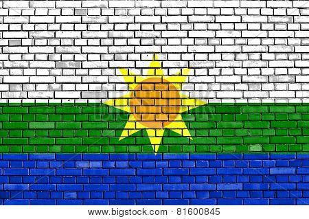 flag of Leticia painted on brick wall