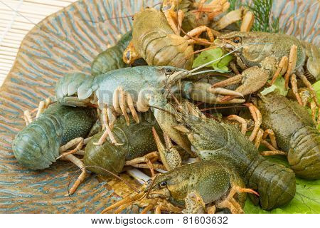 Raw Crayfish