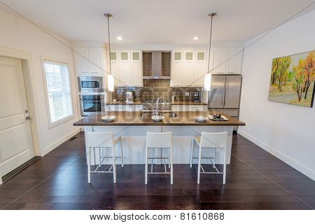 Modern, bright, clean, kitchen interior with stainless steel appliances in a luxury house
