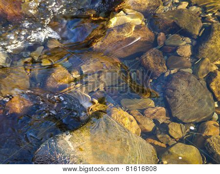Still Waters