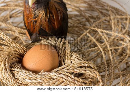 Egg And Chicken