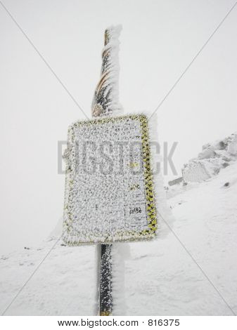 Gesneeuwde teken