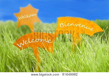 Three Labels With Welcome In Different Languages And Blue Sky
