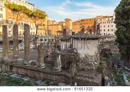 Ruins At The Square Largo Di Torre Argentina,