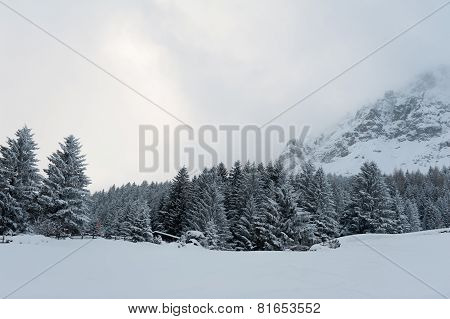 Winter scenery