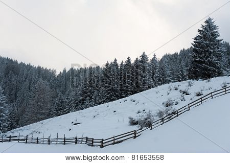 Winter scenery